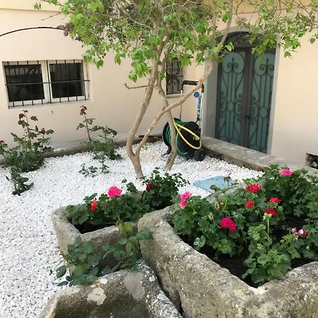 Bed and breakfast Giardini 82