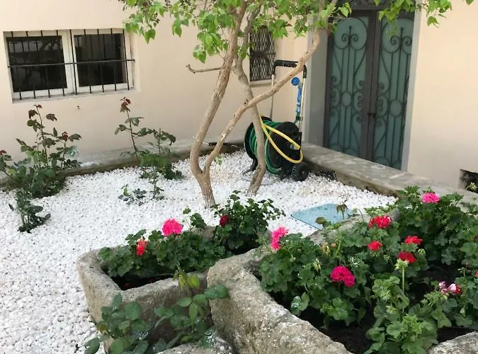 Bed & Breakfast Giardini 82